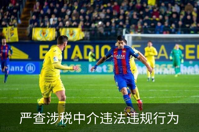 严查涉税中介违法违规行为