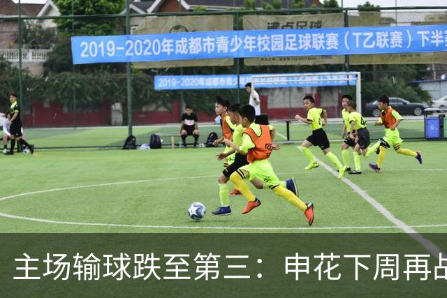 主场输球跌至第三：申花下周再战町田，究竟该改什么？
