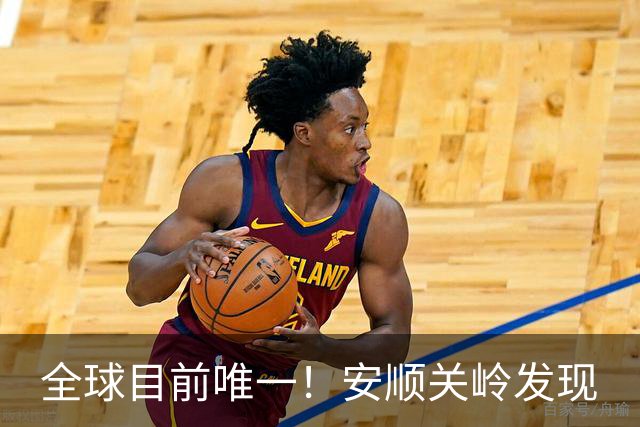 全球目前唯一！安顺关岭发现