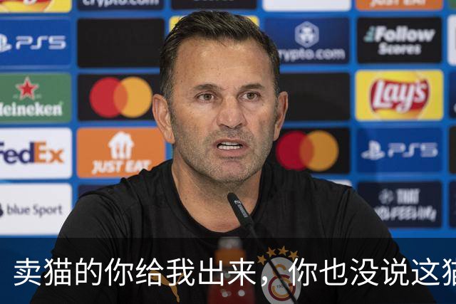 卖猫的你给我出来，你也没说这猫能长这么大啊