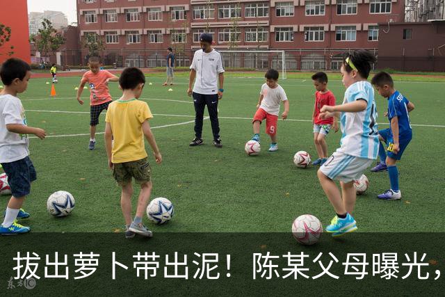 拔出萝卜带出泥！陈某父母曝光，扬州公司洗白，背后的人憋不住了