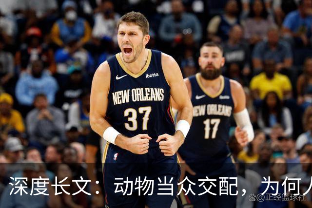 深度长文：动物当众交配，为何人类都躲起来秀恩爱？到底在躲谁？
