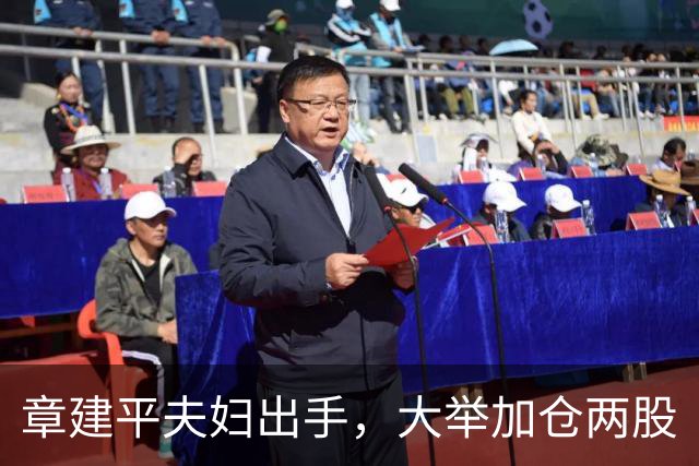 章建平夫妇出手，大举加仓两股