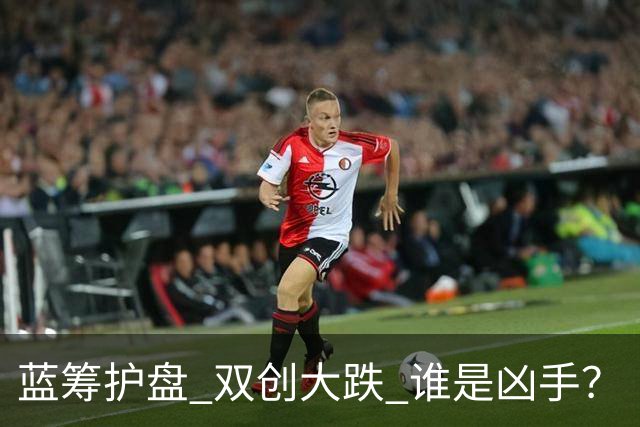 蓝筹护盘 双创大跌 谁是凶手？