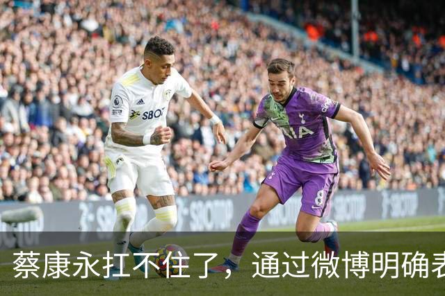 蔡康永扛不住了，通过微博明确表态：“我没有支持过台独”，并解释了相关争议