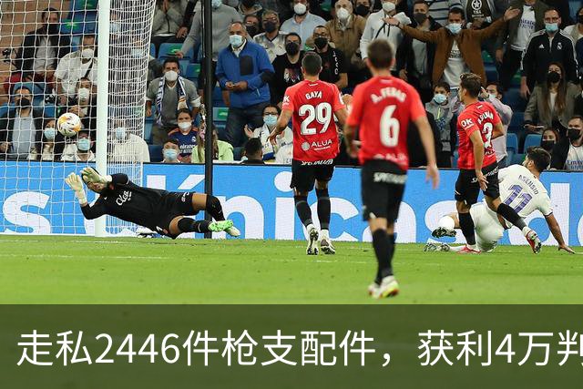 走私2446件枪支配件，获利4万判了10年，国家射击教练田红案披露