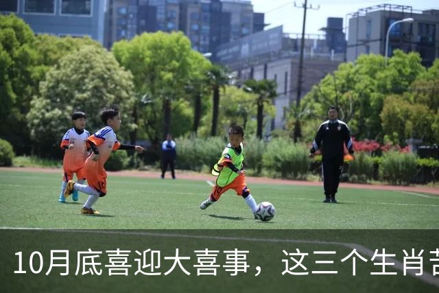 10月底喜迎大喜事，这三个生肖苦尽甘来，马上有钱，财运挡不住